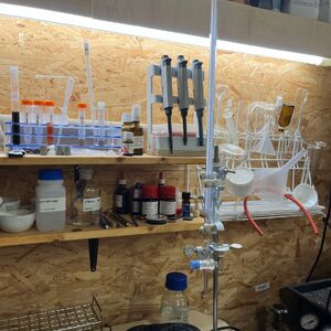 gallery/thumbs/Labor